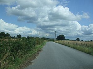 Private road to the Yorkshire Wildlife Park - geograph.org.uk - 1412318