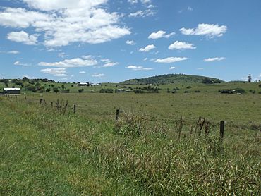 Fields at Milford, Queensland.jpg