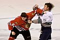 Fight in ice hockey 2009