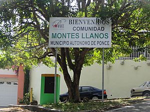 A sign on PR-505 at PR-504 marking the entrance to Barrio Montes Llanos
