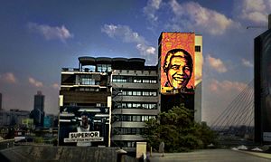 Mandela by Shepard Fairey