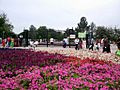 Model Town Park, Lahore