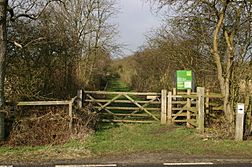 Monks Wood National Nature Reserve - geograph.org.uk - 847244