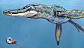 Pliosaurus rossicus