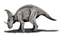 Sinoceratops NT