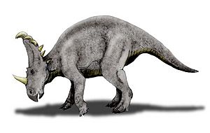 Sinoceratops NT.jpg
