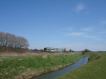 Train and River Brede East Sussex - geograph.org.uk - 154907.jpg