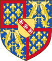 Arms of Rene dAnjou (1)
