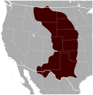 Black-tailed Prairie Dog Cynomys ludovicianus distribution map.png