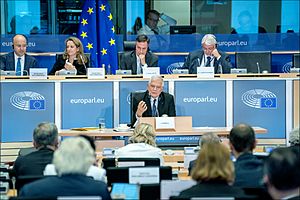 Hearing of Josep Borrell, High Representative Vice President-designate, A stronger Europe in the World (48859228518)
