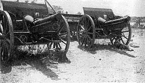 Krupp Guns captured by the Wellington Mounted Rifle Regiment at Gaza 1917