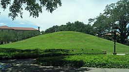 LSU Campus Indian Mound
