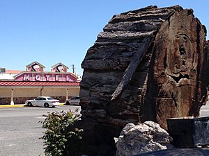 Lovelock Nevada tree stump and motel
