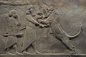 Sculpted reliefs depicting Ashurbanipal, the last great Assyrian king, hunting lions, gypsum hall relief from the North Palace of Nineveh (Irak), c. 645-635 BC, British Museum (16722368932)
