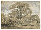 Théodore Rousseau - Study of an Oak Tree - Google Art Project