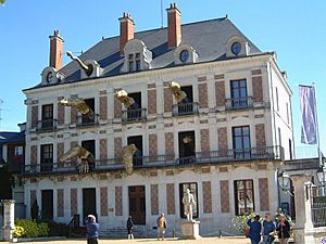 Blois.Maison de la Magie.wmt