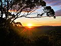 Brisbane Water National Park sunrise