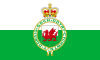 Flag of Wales (1953-1959).svg