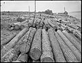 Logs at sawmill at Manitoulin Island (I0014072)