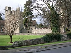 Monkstown Castle from the East