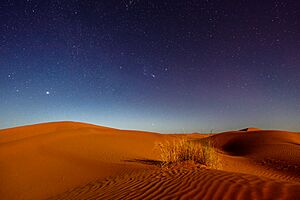 Moonlight in the Sahara
