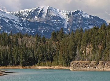 Pigeon Mountain seen from Bow River.jpg