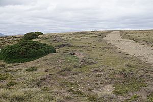 Remnants of 1982 Argentinian defensive positions Darwin Falklands
