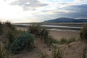 Roanhead Sands from the dunes - geograph.org.uk - 480901