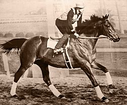 Seabiscuit workout with GW up.jpg