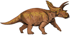 Anchiceratops dinosaur