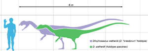 Dilophosaurus scale