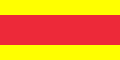 First flag of the Nguyen Dynasty