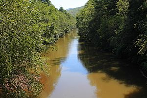 Mahanoy Creek in East Cameron Township, Northumberland County, Pennsylvania 1