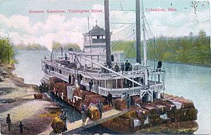 Postcard of Steamer "American" on Tombigbee River at Columbus, Mississippi