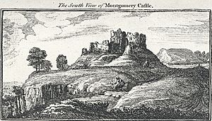 The South View of Montgomery Castle