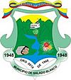 Official seal of Saladoblanco