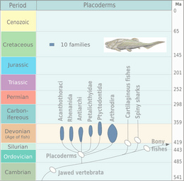 Evolution of placoderms