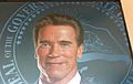 Governor Arnold Schwarzenegger's Official Portrait (Governor's Seal Detail), Gottfried Helnwein