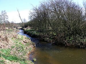 Luggie Water - geograph.org.uk - 1801581
