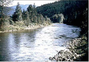 Section of the Moyie River in Eastport