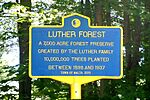 New York State historic marker - Luther Forest.jpg