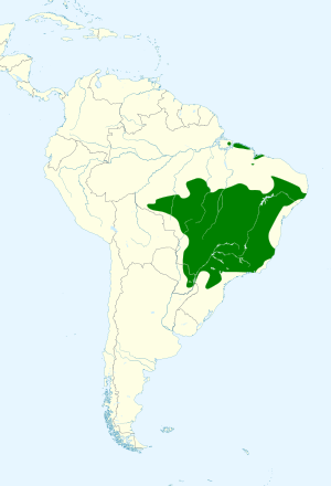 Primolius maracana map.svg