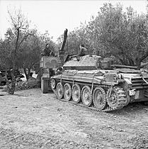 The British Army in Tunisia 1943 NA781