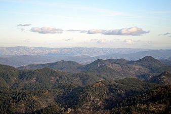 View from Mount Saint Helena 5