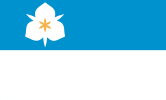 Flag of Salt Lake City (2020)