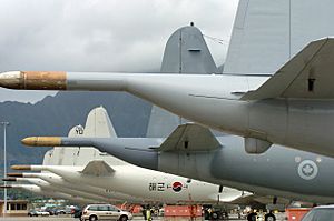 Kaneohe ROK and Canadian P-3s