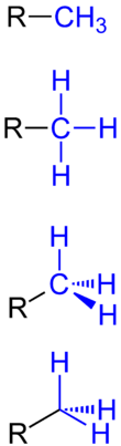 Methyl Group General Formulae V.1