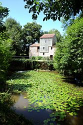The Rambourg mill