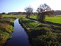 River Bure at Aylsham