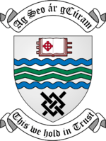 South Dublin Coat of Arms.png